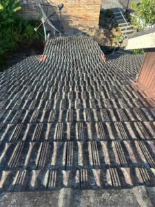 Painters Near Me: Discover Brisbane's Premier Roof Restoration Specialists Transforming Homes